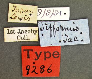 Media type: image; Entomology 9286   Aspect: labels